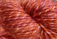 Image 1 of Brisbane 100% Australian Superwash Wool Yarn Queensland Med. Weight 100 gm #36