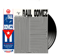 RAUL GOMEZ - Instrumental