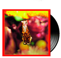VELVET SWING - Dream of Abstract