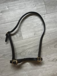 Image 1 of Black Leather Grooming Halter – Full Size