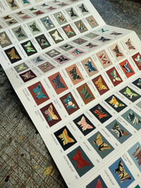 Image 4 of PRE-ORDER ~ Marbled Butterfly Specimen on Farrow & Ball paint chip card