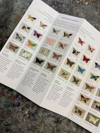 Image 7 of PRE-ORDER ~ Marbled Butterfly Specimen on Farrow & Ball paint chip card
