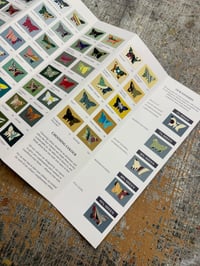 Image 9 of PRE-ORDER ~ Marbled Butterfly Specimen on Farrow & Ball paint chip card