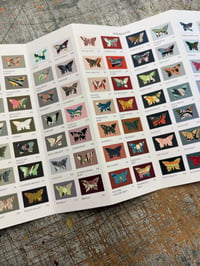 Image 3 of PRE-ORDER ~ Marbled Butterfly Specimen on Farrow & Ball paint chip card