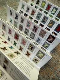 Image 10 of PRE-ORDER ~ Marbled Butterfly Specimen on Farrow & Ball paint chip card