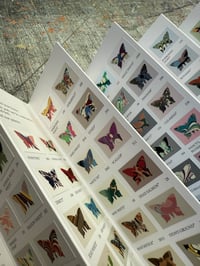 Image 11 of PRE-ORDER ~ Marbled Butterfly Specimen on Farrow & Ball paint chip card
