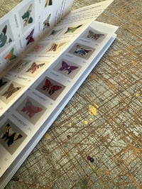 Image 13 of PRE-ORDER ~ Marbled Butterfly Specimen on Farrow & Ball paint chip card