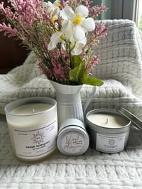 Image 2 of Island Mahogany 