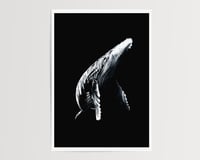 Image 3 of Humpback Whale Illustration Print