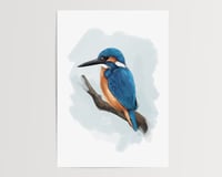 Image 2 of Kingfisher Illustration Print