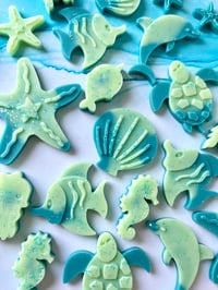 Sealife Shapes