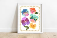 Pansies Print