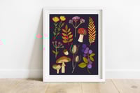 Autumn Woodland Print