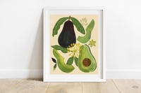 Avocado Print