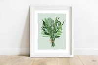 Fern Bouquet Print