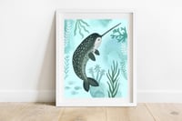 Narwhal Print