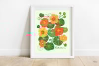 Nasturtium Print