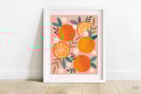Oranges Print