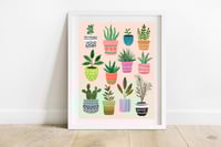 House Plants Print