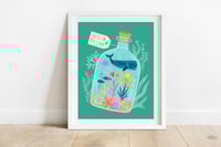 Sea Terrarium Print