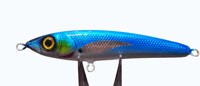 Image 1 of 100g Blue Golden Eye Floating Stick Bait