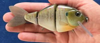 3pc Gill Crankdown - Medium Diver