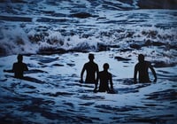 Image 2 of The Surfers 