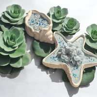 Image 5 of Starfish & Shell set