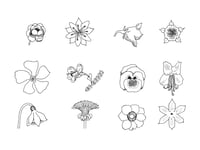 Image 1 of Fill in the Drawing 