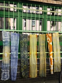 Image 4 of Introduction to Natural Dye Workshop