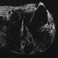 Demon Head "Viscera" LP