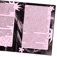 Image 3 of La catégorie de sexe - Monique Witting