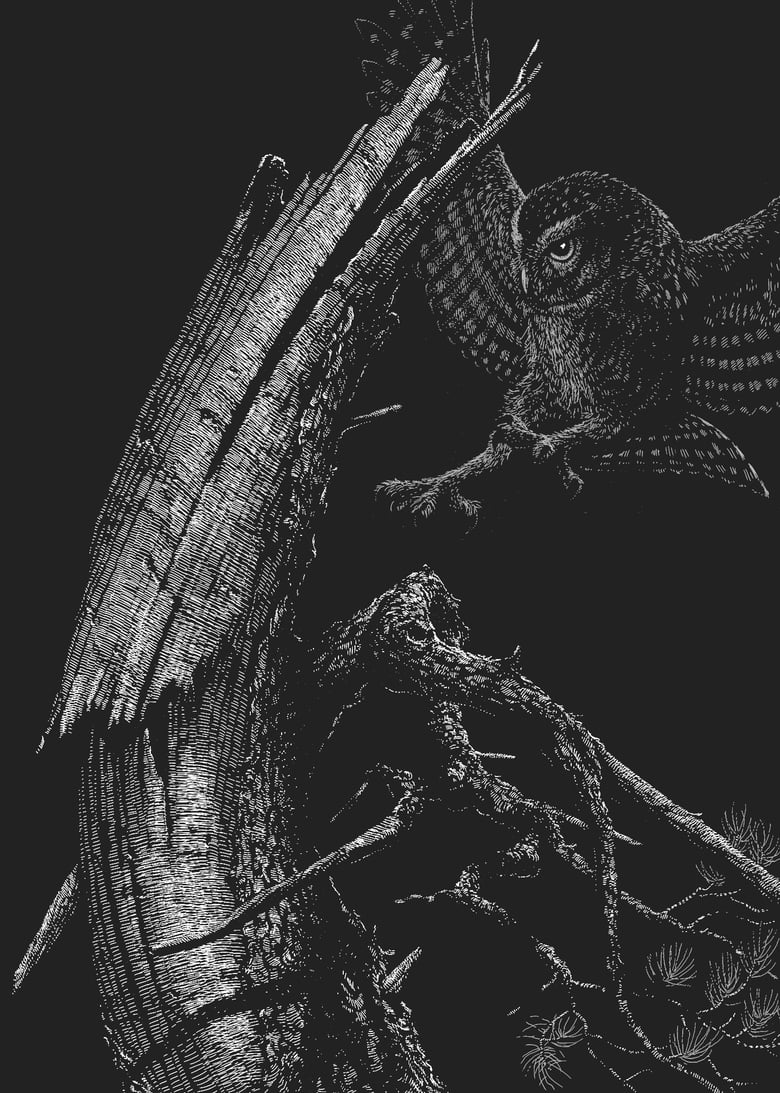 Image of »Old Tree« Screen Print