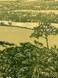 Image 4 of Roseberry Trees