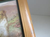 Image 11 of Sheepdogs by Basil Bradley (b 1842) Vintage Art Print in Wooden Frame Sized 11 8/10 x 9 3/4 ins