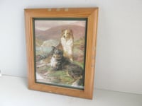 Image 2 of Sheepdogs by Basil Bradley (b 1842) Vintage Art Print in Wooden Frame Sized 11 8/10 x 9 3/4 ins
