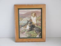 Image 3 of Sheepdogs by Basil Bradley (b 1842) Vintage Art Print in Wooden Frame Sized 11 8/10 x 9 3/4 ins