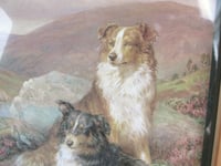 Image 5 of Sheepdogs by Basil Bradley (b 1842) Vintage Art Print in Wooden Frame Sized 11 8/10 x 9 3/4 ins