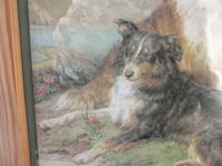 Image 6 of Sheepdogs by Basil Bradley (b 1842) Vintage Art Print in Wooden Frame Sized 11 8/10 x 9 3/4 ins
