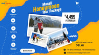 Manali Honeymoon Packages