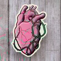 Image 1 of Pulse / Pulso 4" Matte Die Cut Sticker • Human Heart • Anatomical Heart Sticker