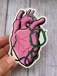 Image 2 of Pulse / Pulso 4" Matte Die Cut Sticker • Human Heart • Anatomical Heart Sticker
