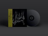 Image 2 of Tony Lugo & Frank Rosaly Pistas CD