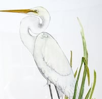 Image 2 of Great white heron original watercolor bird art