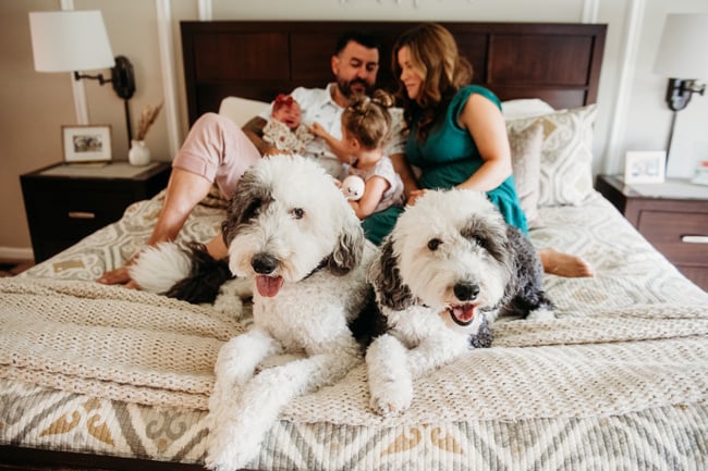 Lifestyle Newborn Sessions