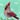 Hello Lady Cardinal