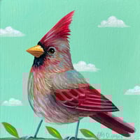 Hello Lady Cardinal