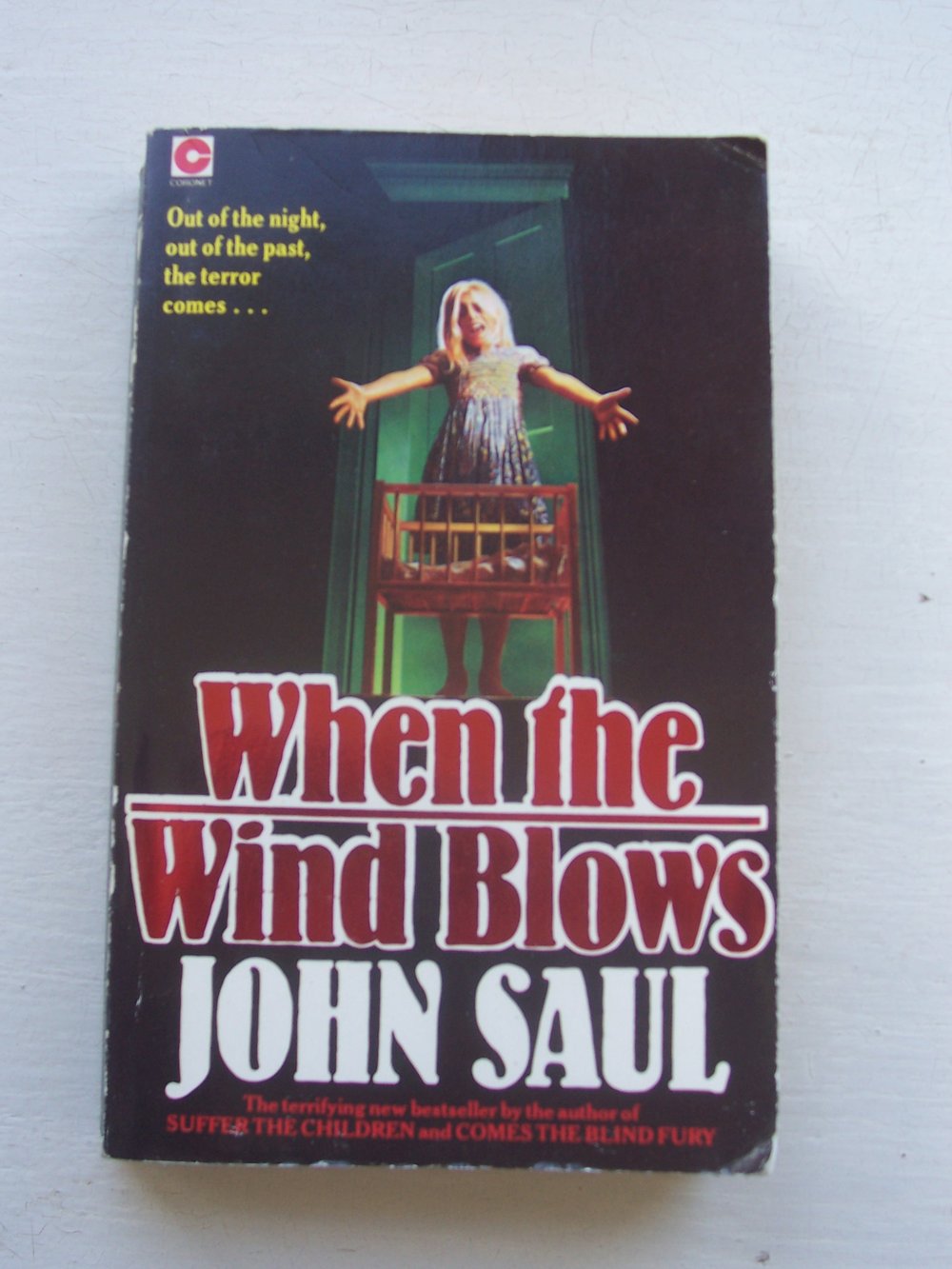 When the Wind Blows by John Saul 