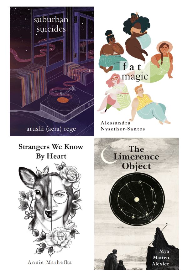 Image of Bundle of All Four 2025 Chapbooks!