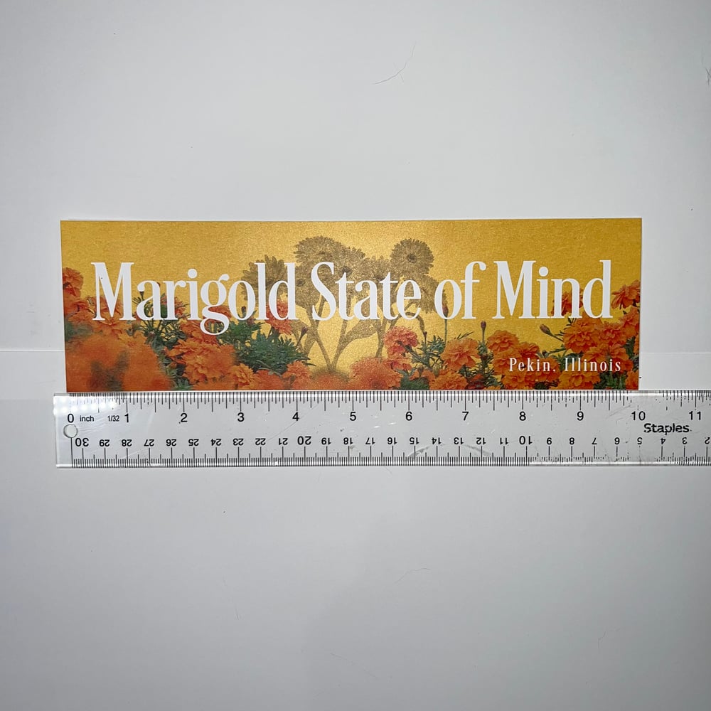 Image of Marigold State of Mind Sticker - Pekin Illinois Hometown Pride Decal